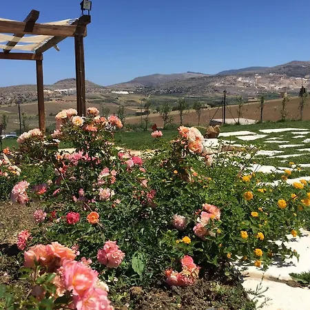 Baglio Degli Ulivi Bed & Breakfast