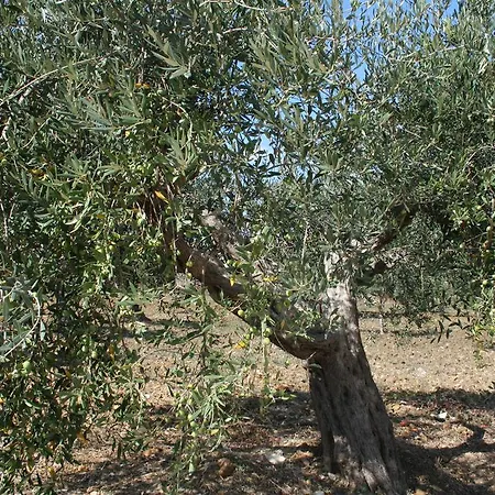 Baglio Degli Ulivi 2*