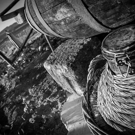 Bed & Breakfast Baglio Degli Ulivi Crocevie