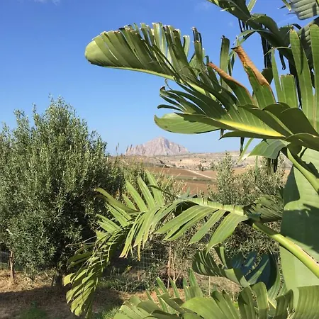 Bed & Breakfast Baglio Degli Ulivi