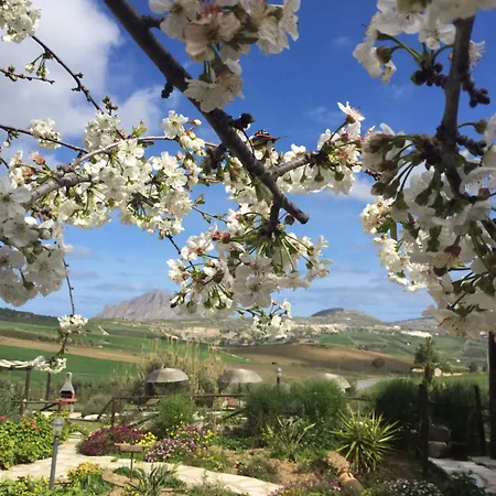 Bed & Breakfast Baglio Degli Ulivi 3*